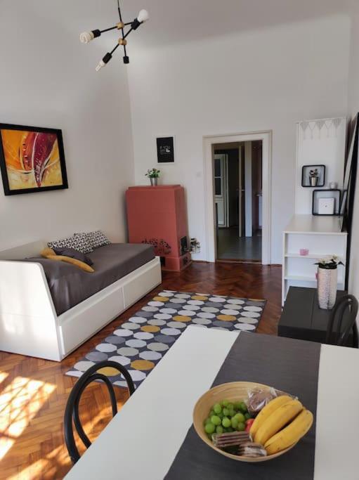 Cosy Condo In The Heart Of The Upper Town 萨格勒布 外观 照片